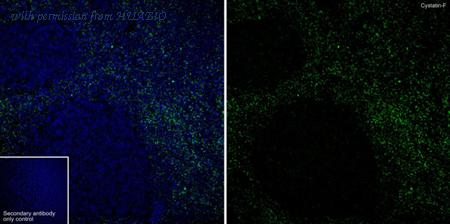 HUABIO HA723053 image 2