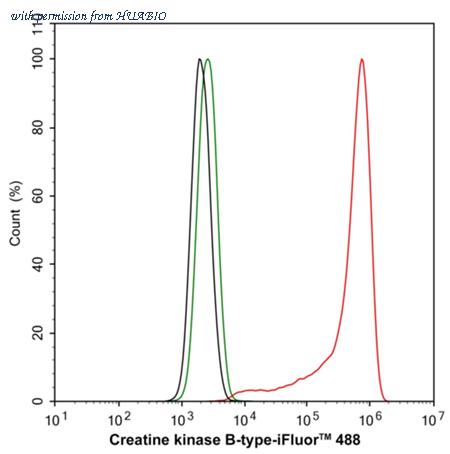 HUABIO HA723090 image 3