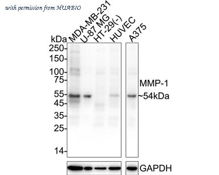 HUABIO HA723118 image 1