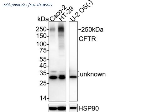 HUABIO HA723168 image 1