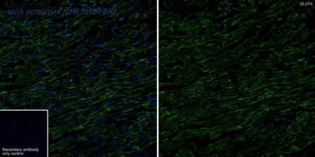 HUABIO HA723175 image 1