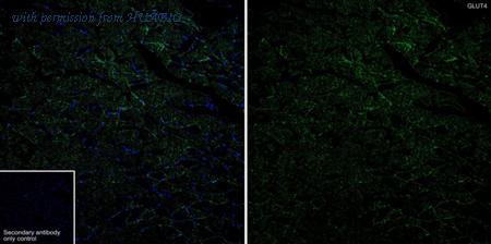 HUABIO HA723175 image 2