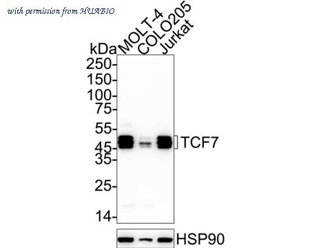 HUABIO HA723179 image 1