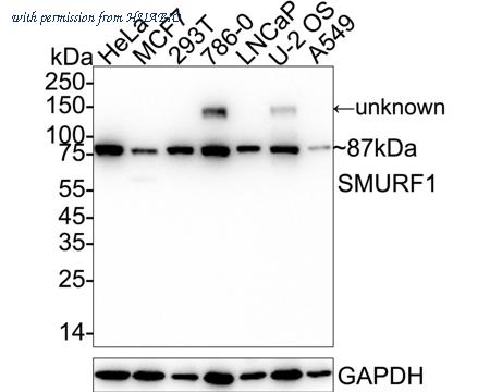 HUABIO HA723181 image 1