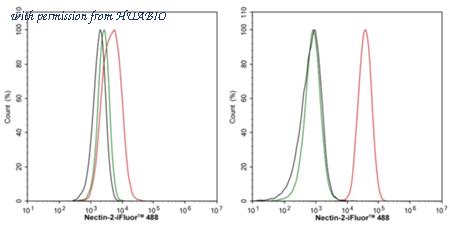 HUABIO HA723346 image 3