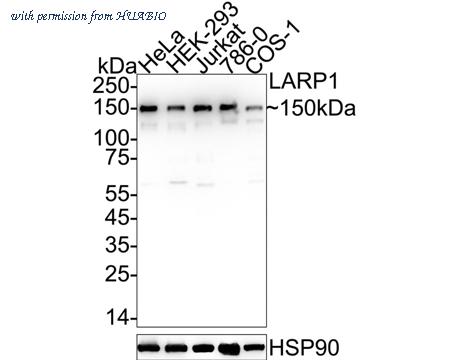 HUABIO HA723425 image 1
