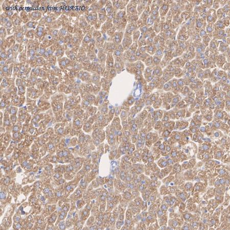 HUABIO HA723429 image 3