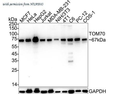 HUABIO HA723505 image 1