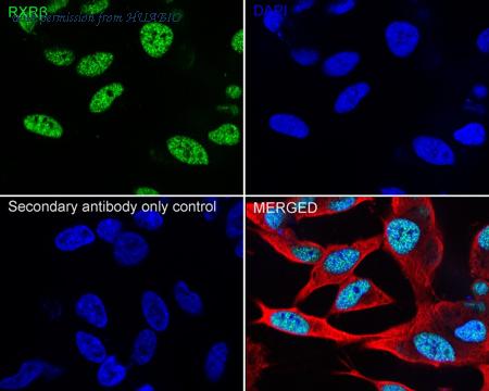 HUABIO HA723542 image 2