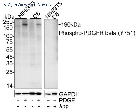 HUABIO HA723550 image 1