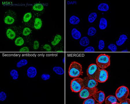 HUABIO HA723561 image 2