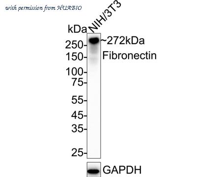 HUABIO HA723610 image 2