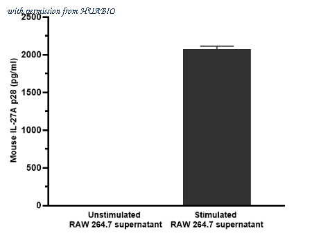 HUABIO HA723624 image 3