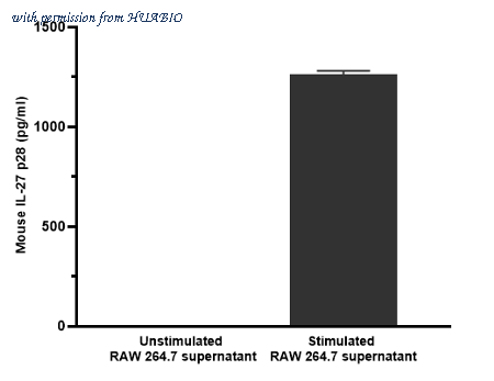 HUABIO HA723627 image 3