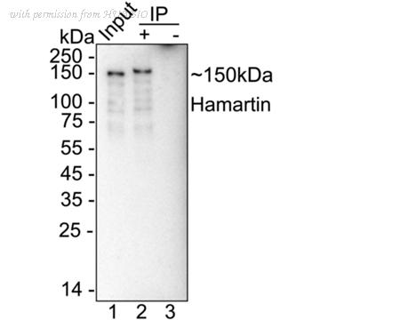 HUABIO HA723665 image 2