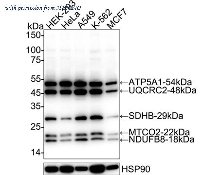 HUABIO HA723756 image 1
