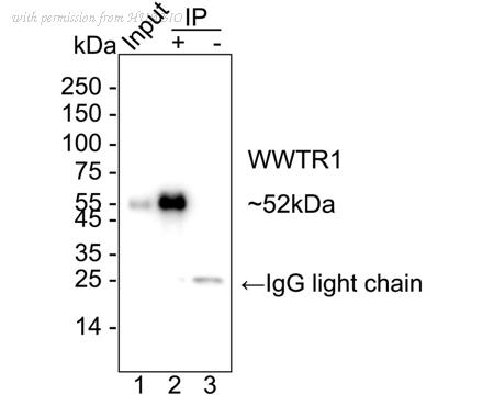 HUABIO HA723764 image 3