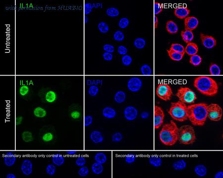 HUABIO HA723773 image 1