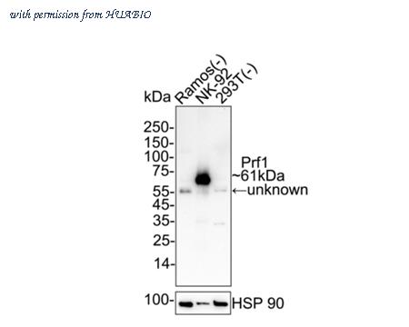 HUABIO HA723797 image 2