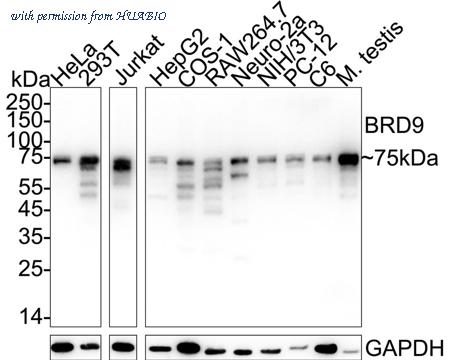 HUABIO HA723800 image 1