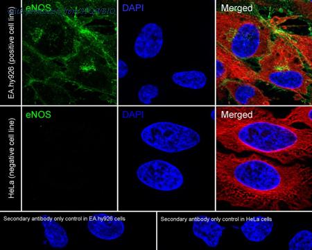 HUABIO HA723892 image 2