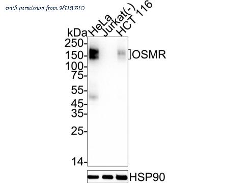 HUABIO HA723935 image 1