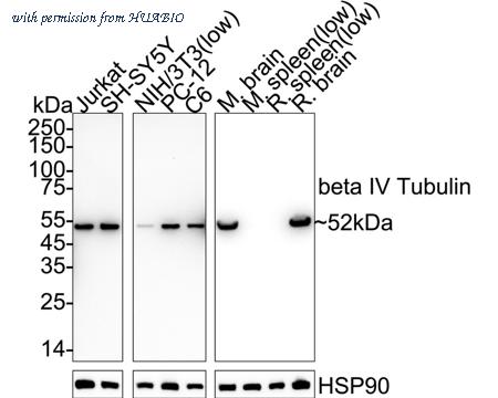 HUABIO HA723947 image 1