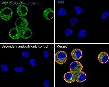 HUABIO HA723947 image 3