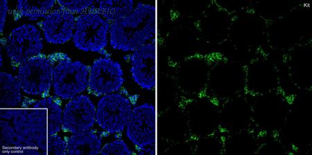 HUABIO HA723948 image 1