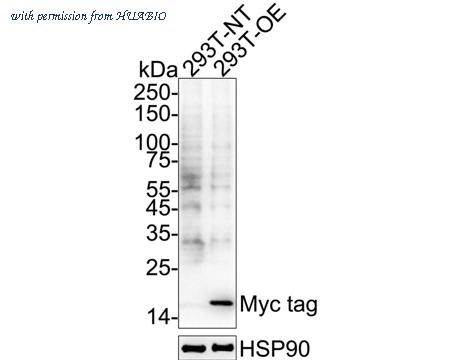 HUABIO HA723950 image 2