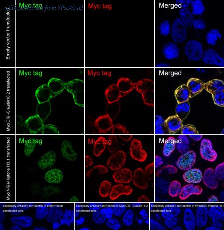 HUABIO HA723950 image 3