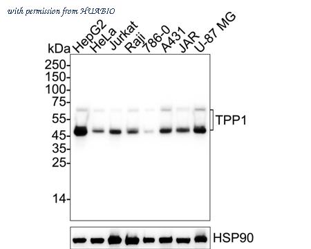 HUABIO HA723972 image 1