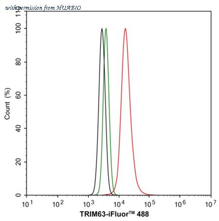 HUABIO HA723973 image 3