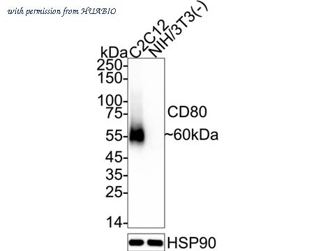 HUABIO HA723976 image 1