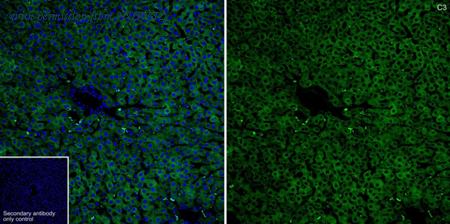 HUABIO HA723984 image 3