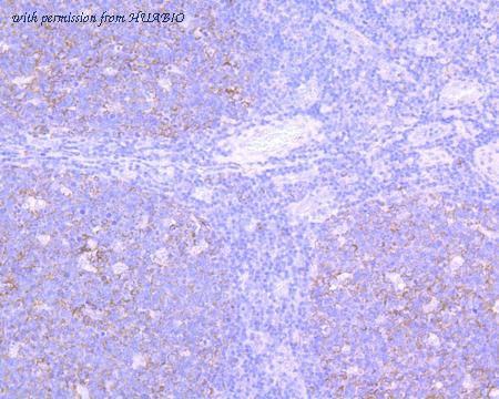 HUABIO HA750009 image 3