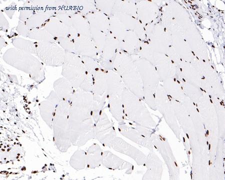 HUABIO HA750051 image 2