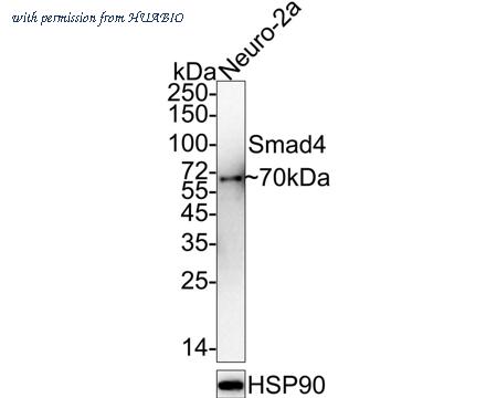 HUABIO HA750070 image 2