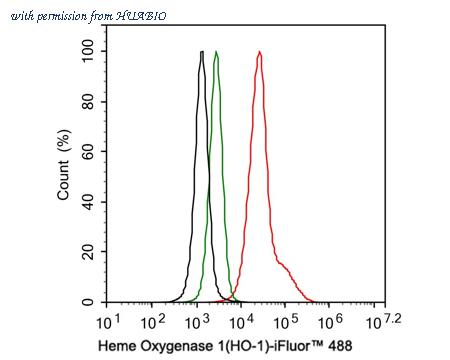 HUABIO HA750079 image 1