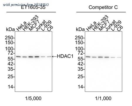 HUABIO HA750083 image 1