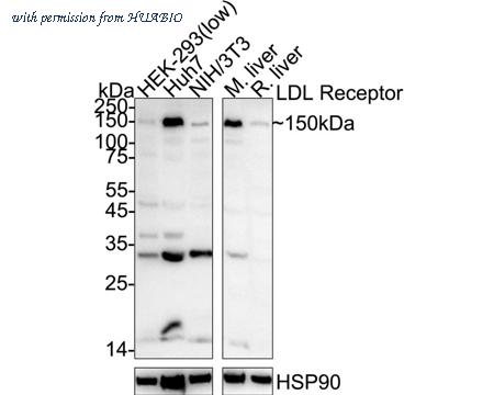 HUABIO HA750107 image 1