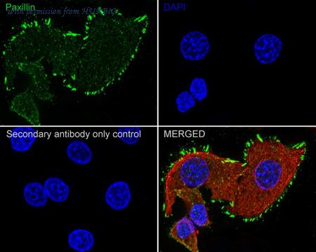 HUABIO HA750114 image 3