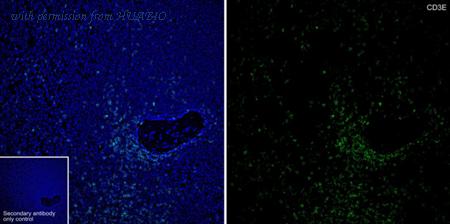 HUABIO HA750115 image 2