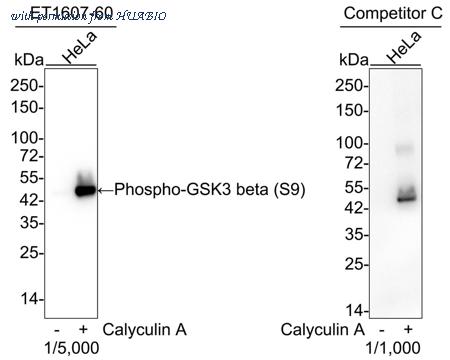 HUABIO HA750128 image 1