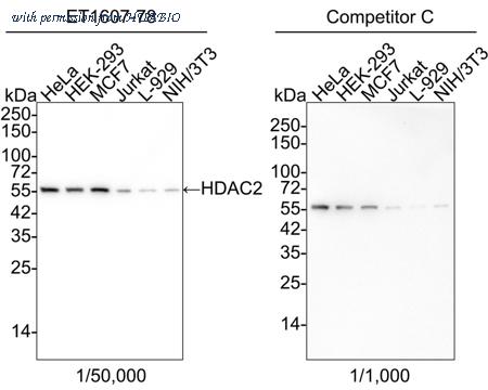 HUABIO HA750134 image 1