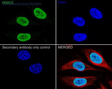 HUABIO HA750134 image 3
