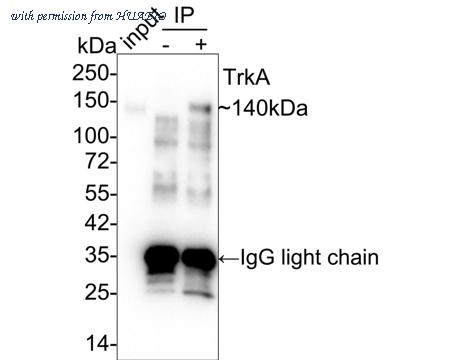 HUABIO HA750148 image 2