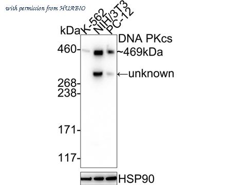 HUABIO HA750198 image 1