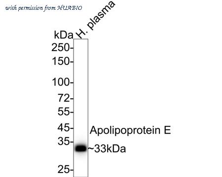 HUABIO HA750206 image 1