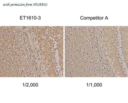 HUABIO HA750209 image 3